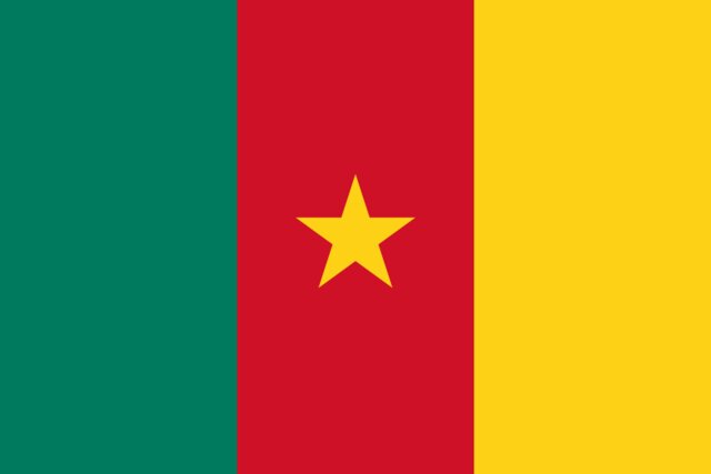 Cameroon flag